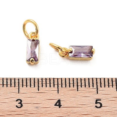Brass Micro Pave Cubic Zirconia Charms ZIRC-F111-03G-12-1