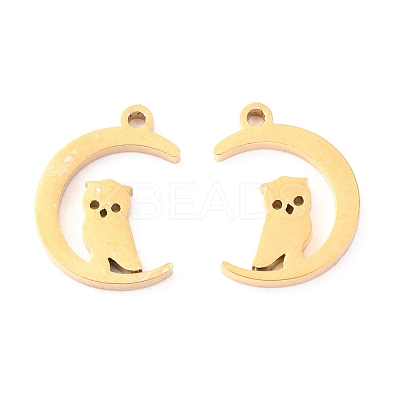 304 Stainless Steel Charms STAS-O142-40G-1