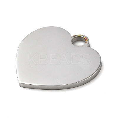 Non-Tarnish 304 Stainless Steel Pendants STAS-K270-27B-P-1