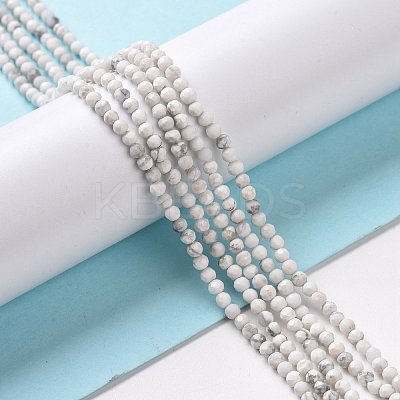 Natural Howlite Beads Strands G-H273-02A-1