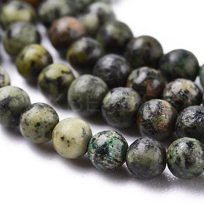 Natural African Turquoise(Jasper) Beads Strands G-N0188-02-3mm-1