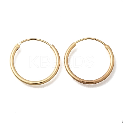 Brass Hoop Earrings EJEW-G474-01G-03-1
