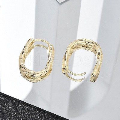 Brass Twist Hoop Earrings EJEW-Q014-02G-1
