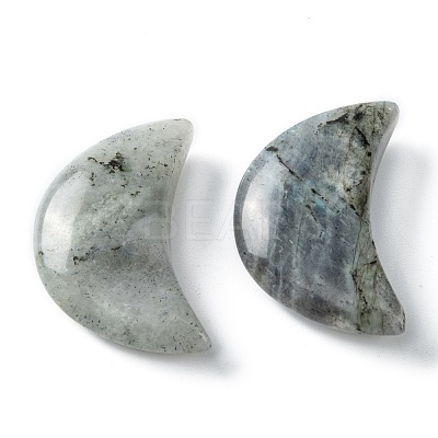 Natural Labradorite Beads G-I312-A05-1