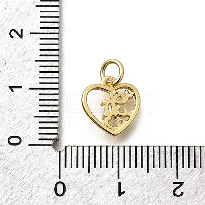 Brass Micro Pave Cubic Zirconia Charms KK-P295-25G-1