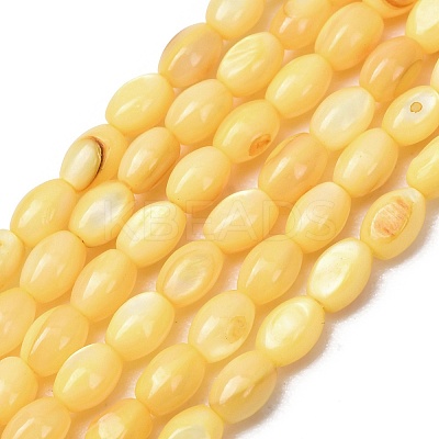 Dyed Natural Freshwater Shell Beads Strands SH-CBA2978-06B-1