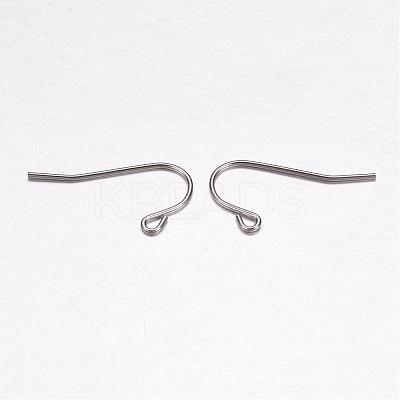 Tarnish Resistant 304 Stainless Steel Earring Hooks STAS-F117-47P-1