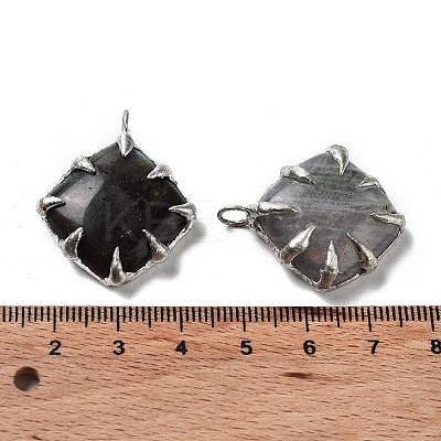 Natural Labradorite Pendants G-G069-02P-1
