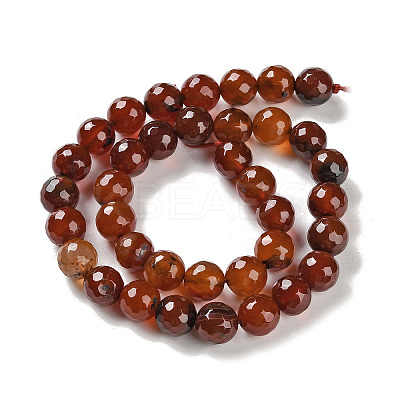 Natural Agate Beads Strands G-M437-B01-01K-1