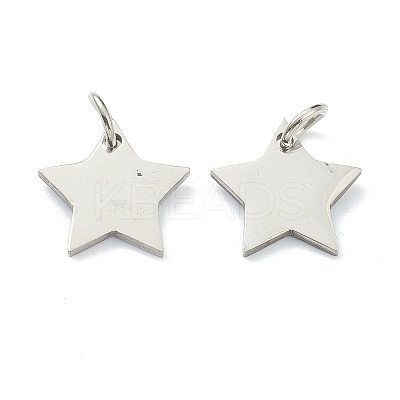 Tarnish Resistant (Defective Closeout Sale: Scratches)304 Stainless Steel Charms LS-STAS-XCP0001-34-1
