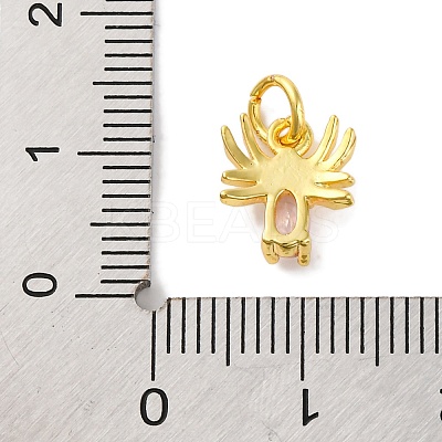 Rack Plating Brass Micro Pave Cubic Zirconia Charms KK-F881-02G-07-1