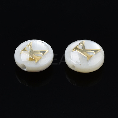 Natural Freshwater Shell Beads SHEL-S278-036K-1