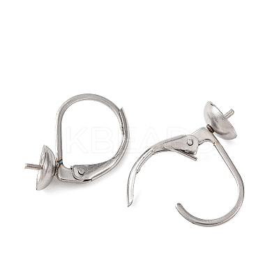 304 Stainless Steel Leverback Earring Findings STAS-G385-04P-1
