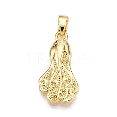 Brass Pendants KK-T070-46G-1
