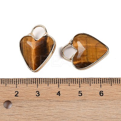 Natural Tiger Eye Faceted Pendans KK-L218-005G-01-1