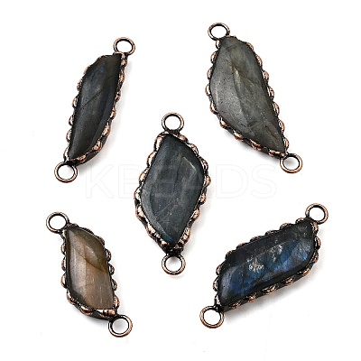 Brass Pave Natural Labradorite Feather Connector Charms G-Q350-03A-1