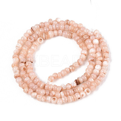 Natural Freshwater Shell Dyed Beads Strands SHEL-T020-29B-05-1