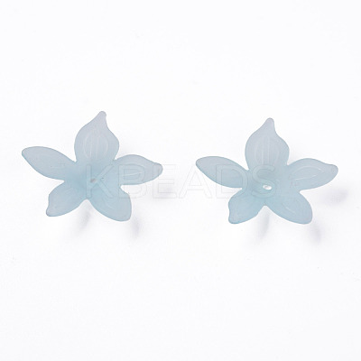 Transparent Acrylic Beads MACR-S373-127-D02-1
