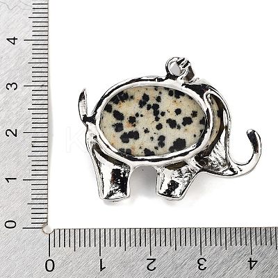 Natural Dalmatian Jasper Pendants G-G112-01P-15-1