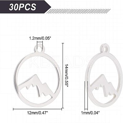 30Pcs 201 Stainless Steel Charms STAS-UN0034-41-1