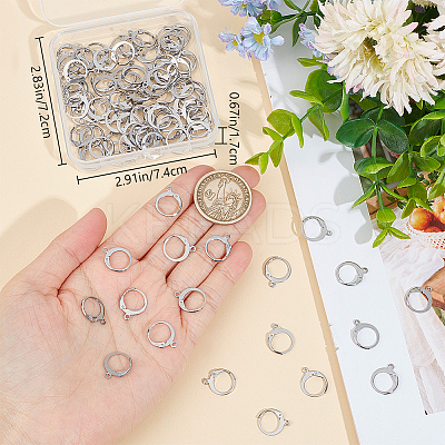 100Pcs 304 Stainless Steel Leverback Earring Findings STAS-BBC0004-12-1