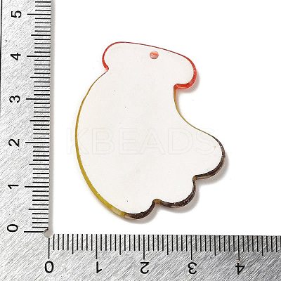Acrylic Pendants OACR-R270-03I-1
