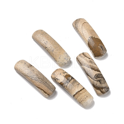 Natural Picture Jasper Connector Charms G-D460-02A-1