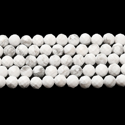 Natural Howlite Beads Strands G-E608-A01-B-1