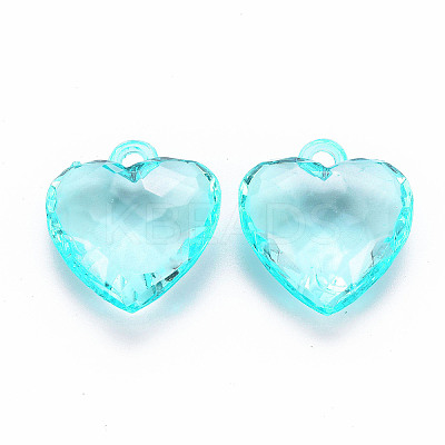 Transparent Acrylic Pendants LS-TACR-T024-03B-946-1