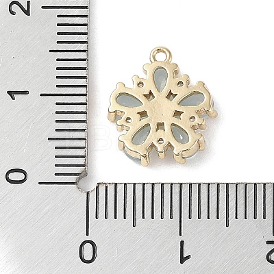 Brass Micro Pave Cubic Zirconia Charms KK-G491-26G-04-1