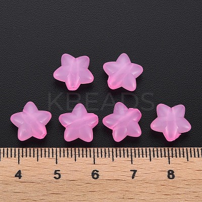 Transparent Acrylic Beads LS-MACR-S373-26E-10-1