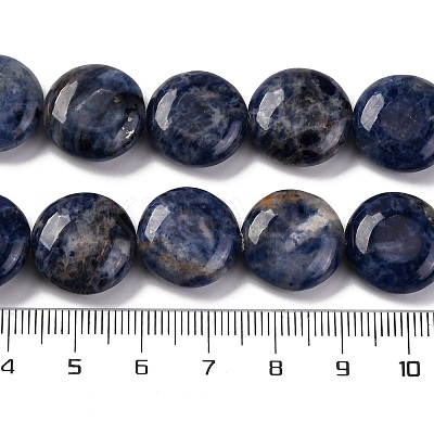 Natural Sodalite Beads Strands G-C159-A09-01-1
