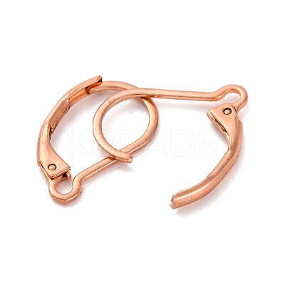 304 Stainless Steel Leverback Earring Findings STAS-K233-04RG-1