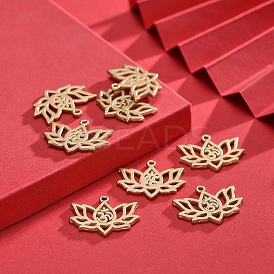 Tibetan Style Alloy Pendants X-TIBE-S301-008MG-NR-1