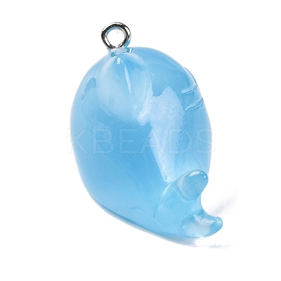 Luminous Resin Pendants RESI-U001-01E-1