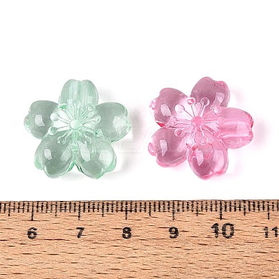 Transparent Acrylic Beads TACR-T030-26M-1