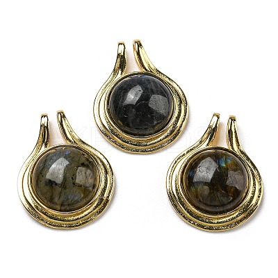 Natural Labradorite Pendants G-M405-06G-1