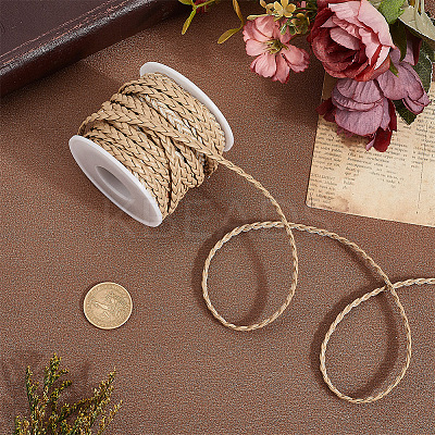 10M Flat Braided Imitation Leather Cords LC-CL0001-04C-1