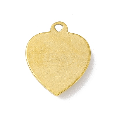 304 Stainless Steel Pendants LS-STAS-H171-01C-1