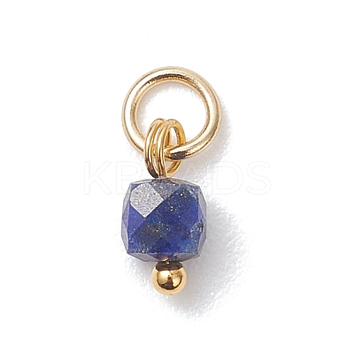 Faceted Cube Natural Mixed Gemstone Charms PALLOY-JF04879-1