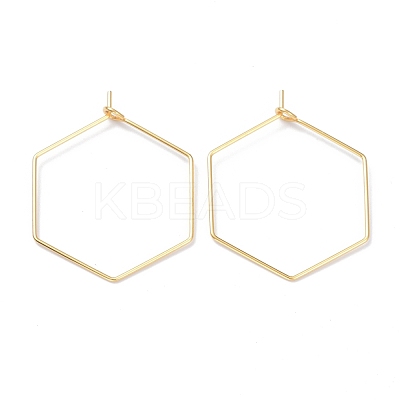 316 Stainless Steel Hoop Earring Findings STAS-K216-03B-G-1