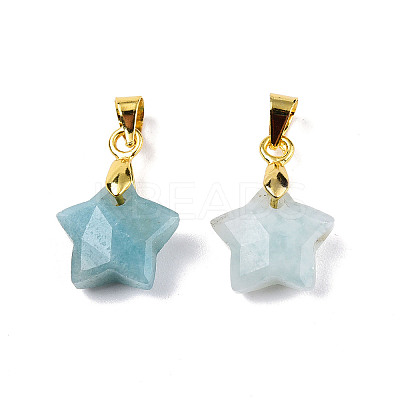 Natural Amazonite Charms X-G-N326-142-08-1