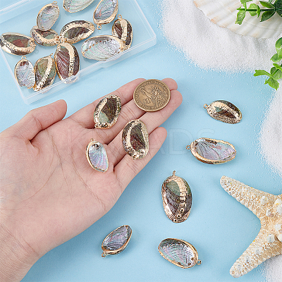 20Pcs Electroplated Natural Paua Shell Pendants SSHEL-PH0001-49-1