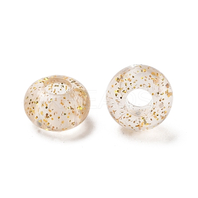 Transparent Acrylic European Beads TACR-P009-A01-03-1