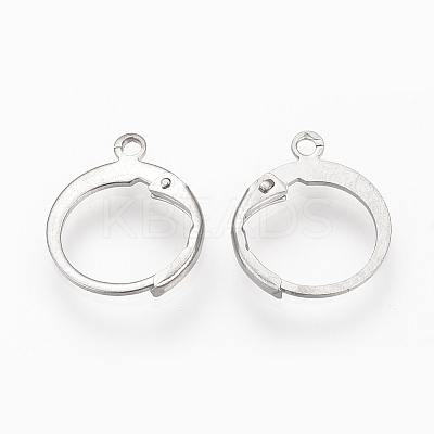 Tarnish Resistant 304 Stainless Steel Leverback Earring Findings LS-STAS-S073-01-1