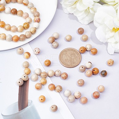 Natural Fossil Coral Beads Strands G-AR0003-18-1