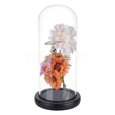 1Pc Arch Glass Dome Cover AJEW-UN0002-84B-1