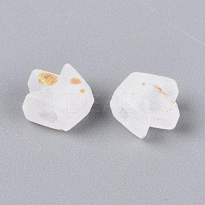Frosted Transparent Acrylic Beads FACR-T009-01J-1