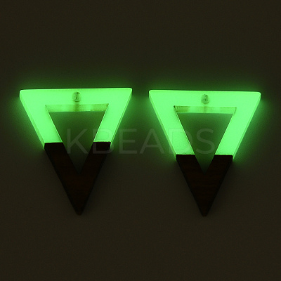 Walnut Wood & Luminous Glow in the Dark Resin Pendants RESI-N039-74-1