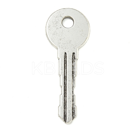 Tibetan Style Alloy Big Pendants FIND-M056-07A-AS-1
